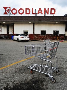 Foodland, photo by Kate Medley