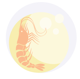 Goodnight-Calabash-Katy-Clune