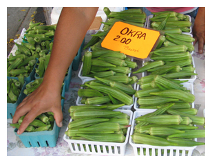 Photo of Okra at at Farm Stand - Southern Gumbo Trail
